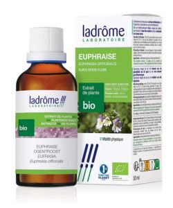 Euphraise - extrait de plante fraîche